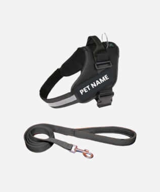 Payton Perry Customized Dog Vest Harness